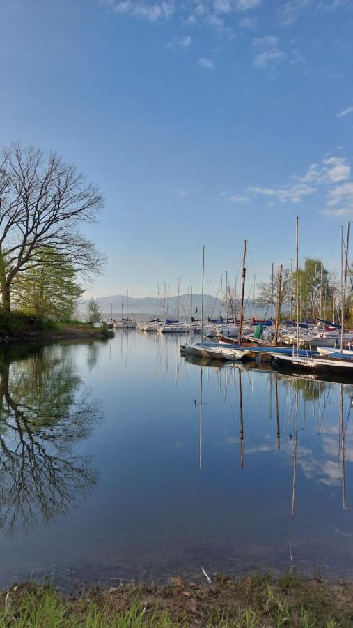 Laguna24 Jezioro Zywieckie Klimatyzowany Apartament 40 M2 Zarzecze (Silesia) Exterior foto